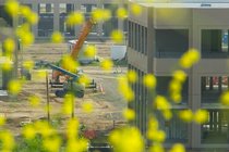 Construction Through Mustard