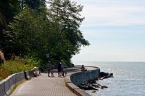 Stanley Park Bicycle Path, I