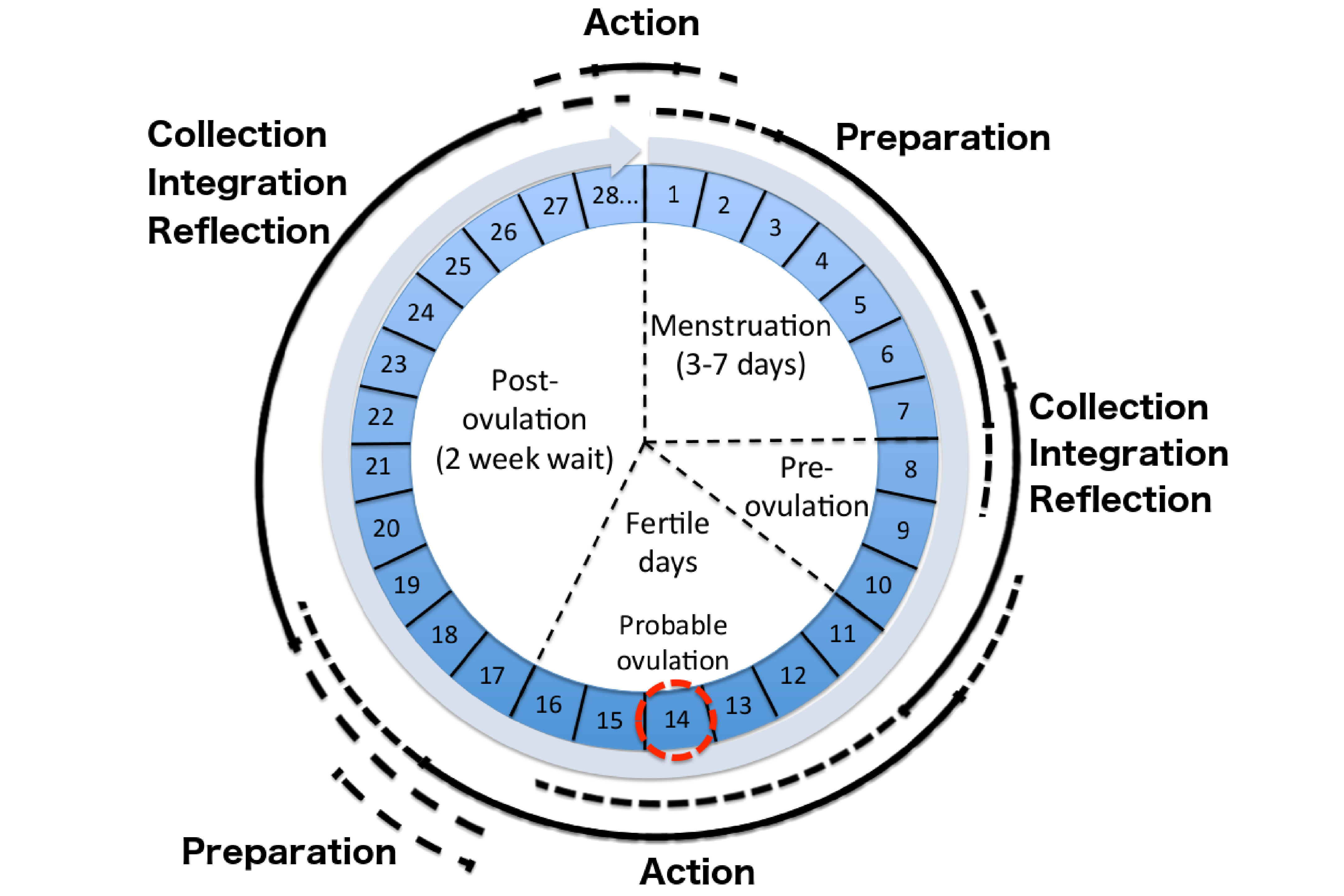 application of the personal informatics model to the fertility cycle